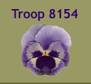 Troop 8154